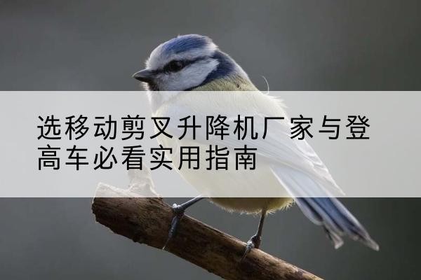 玛沁电动升降机厂家-选移动剪叉升降机厂家与登高车必看实用指南