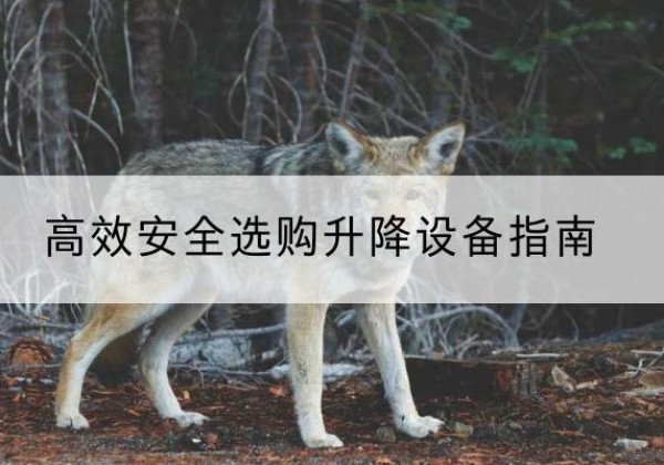 玛沁升降货梯厂家推荐-*安全选购升降设备指南