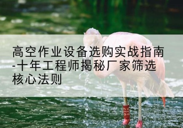 玛沁剪叉式升降机厂家-高空作业设备选购实战指南-十年工程师揭秘厂家筛选核心法则